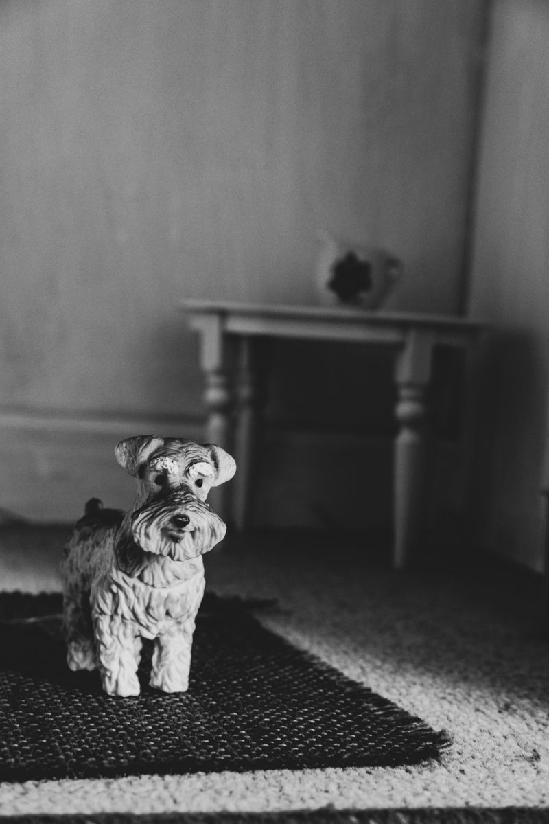 © Nadia Ettwein - Millie Meisie