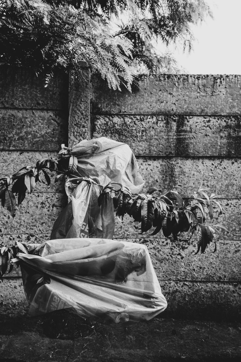 © Nadia Ettwein - I hate winter ii