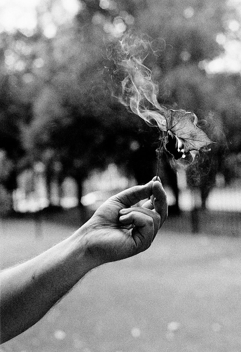 © Nadia Ettwein - How cruel can you be?