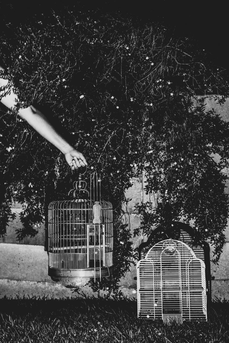 © Nadia Ettwein - Medicated