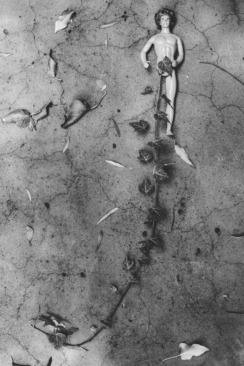 © Nadia Ettwein - Ken grew a pair