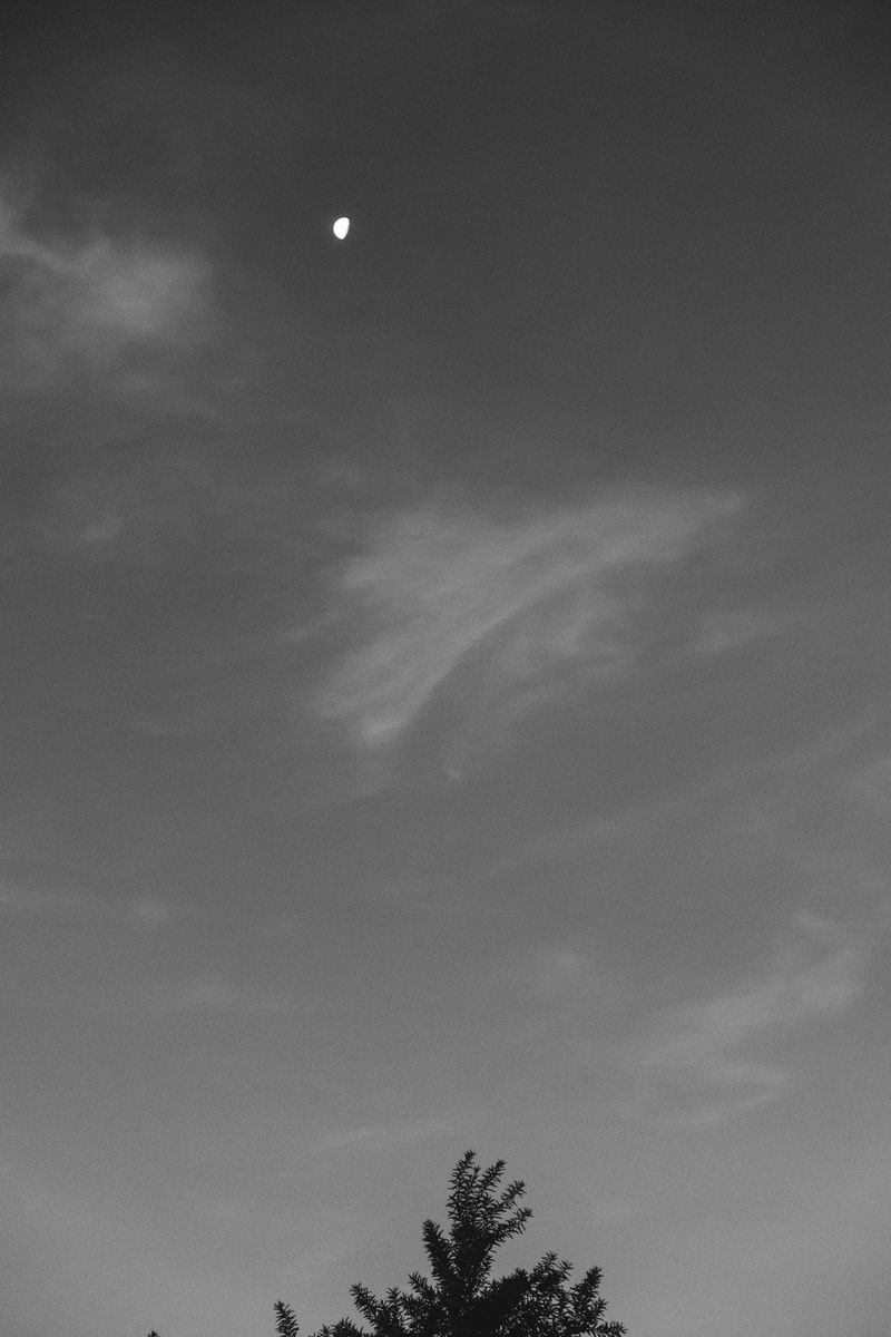 © Nadia Ettwein - Unknown, 2024.