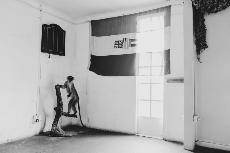 © Nadia Ettwein - Image from the My Dad Lives On The Moon photography project