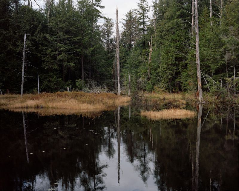 © Tagger Yancey Iv - Pond, Route 2