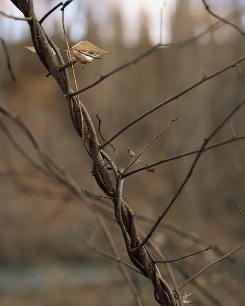 © Tagger Yancey Iv - Image from the Mirrored photography project