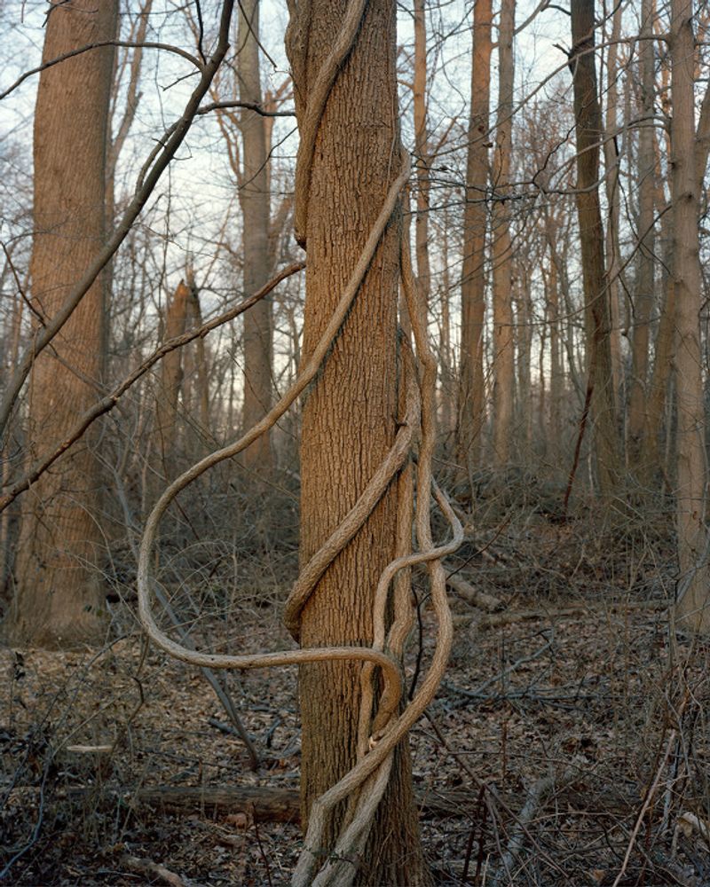 © Tagger Yancey Iv - Image from the Mirrored photography project
