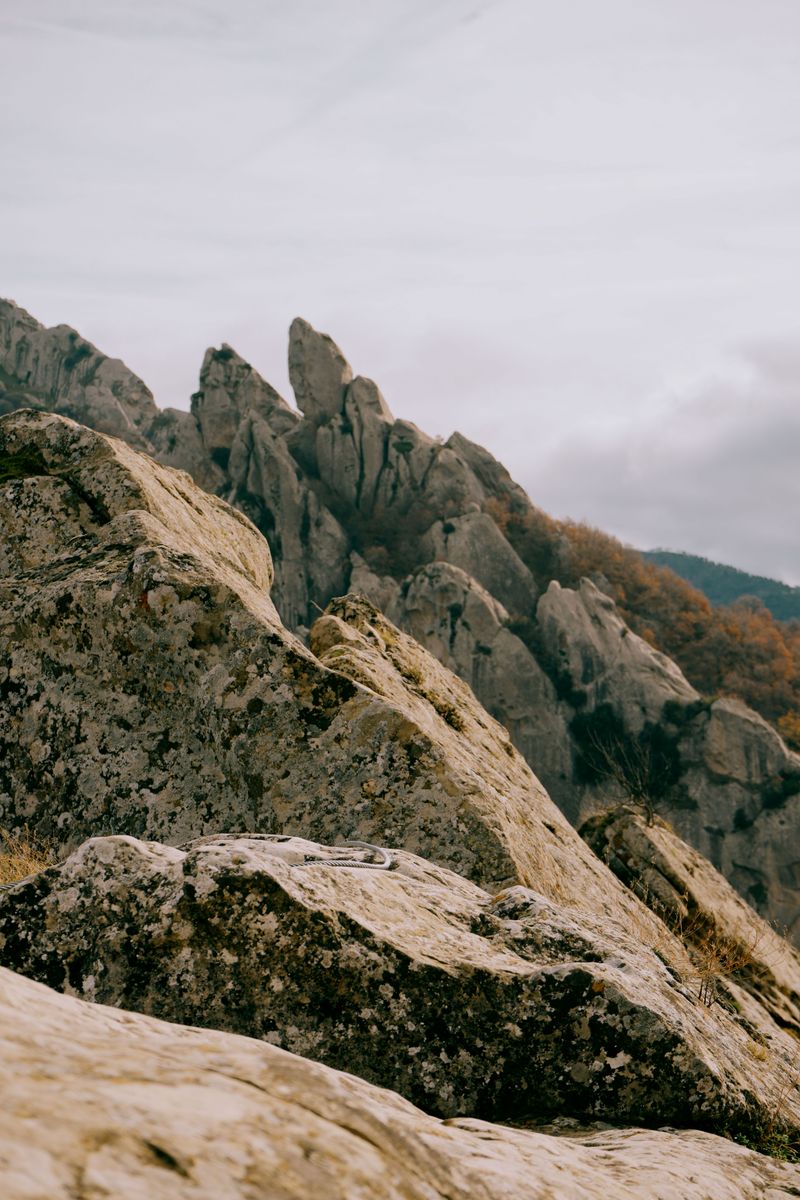© Domenico Matera - Image from the dreaming photography project