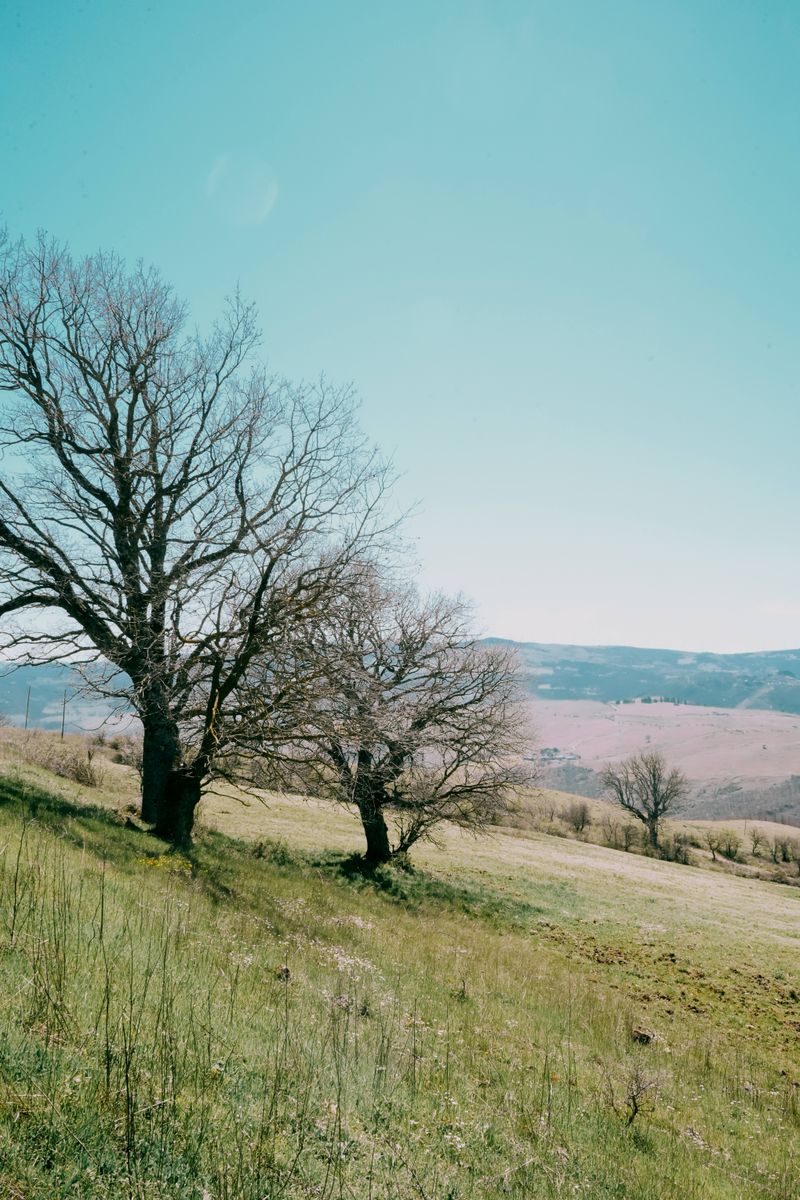 © Domenico Matera - Image from the dreaming photography project