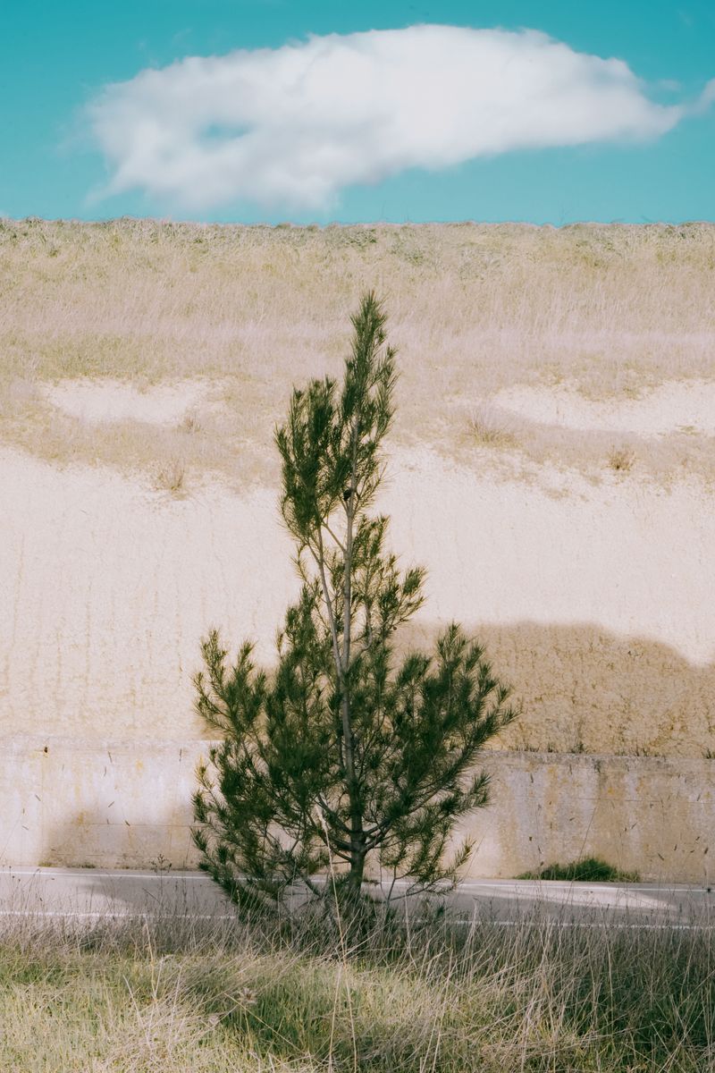 © Domenico Matera - Image from the dreaming photography project
