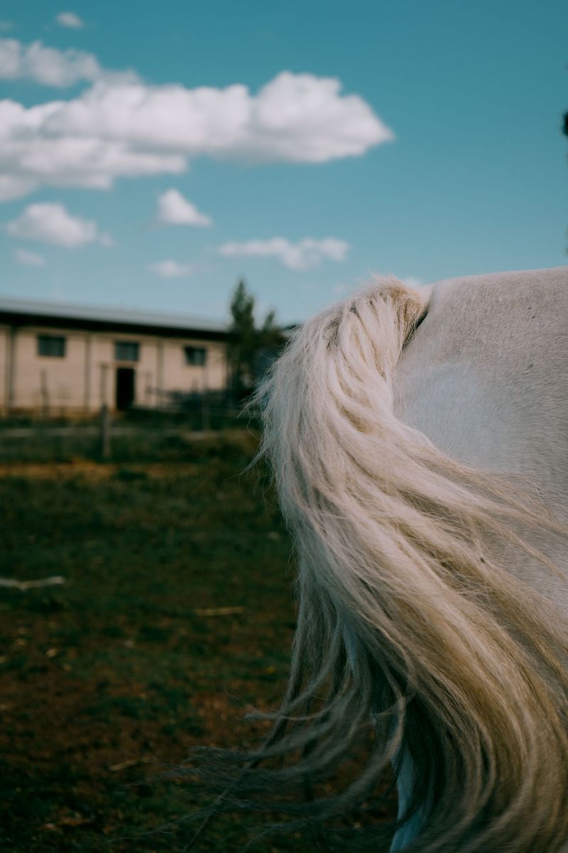 © Domenico Matera - Image from the dreaming photography project