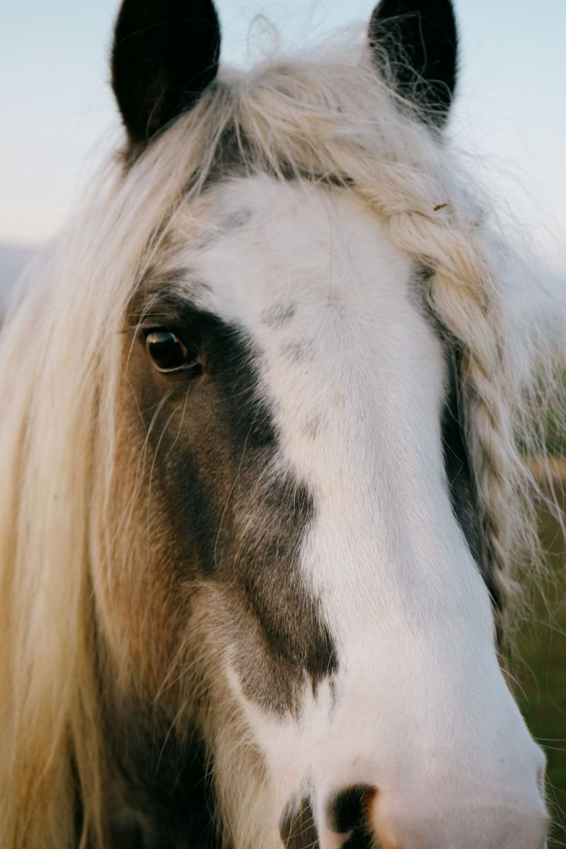 © Domenico Matera - Image from the a new friend photography project