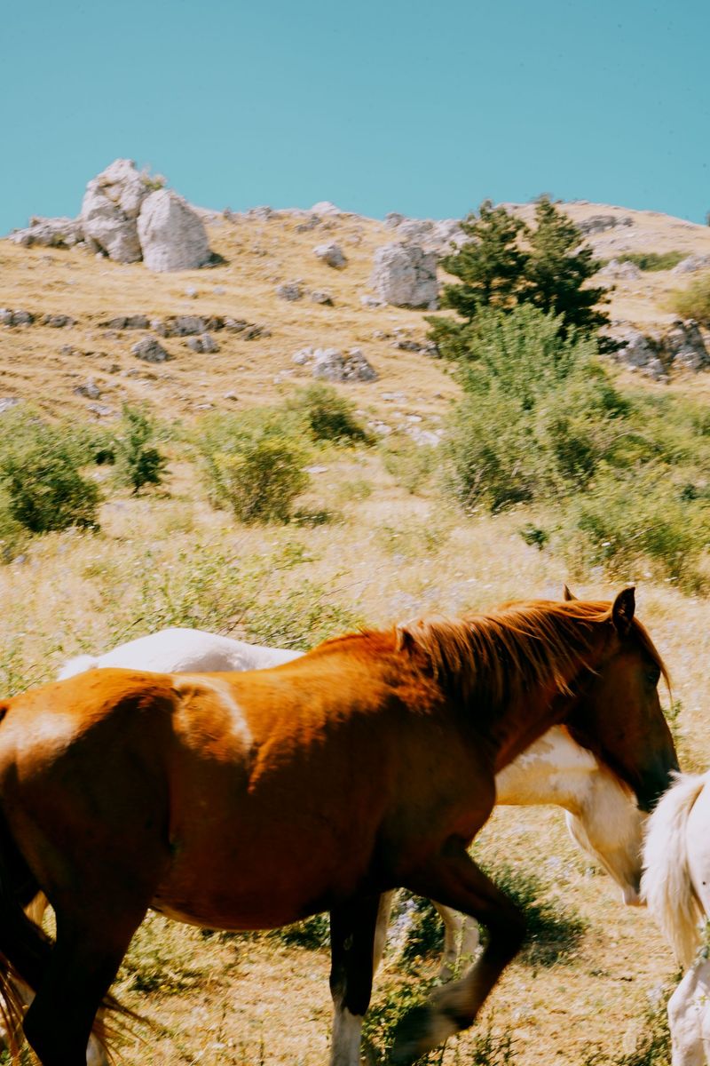 © Domenico Matera - Image from the a new friend photography project