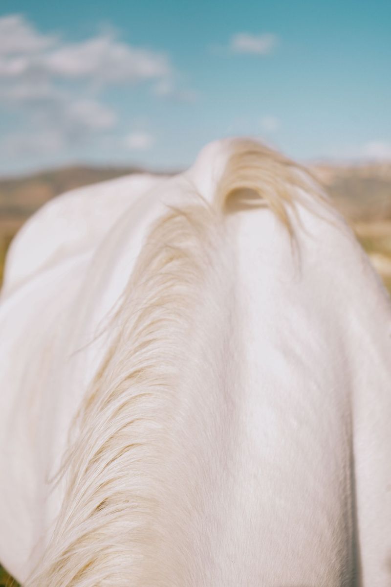 © Domenico Matera - Image from the a new friend photography project