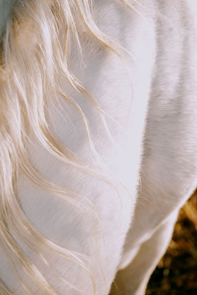© Domenico Matera - Image from the a new friend photography project