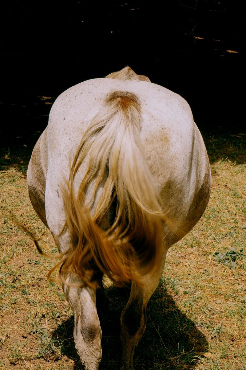 © Domenico Matera - Image from the a new friend photography project