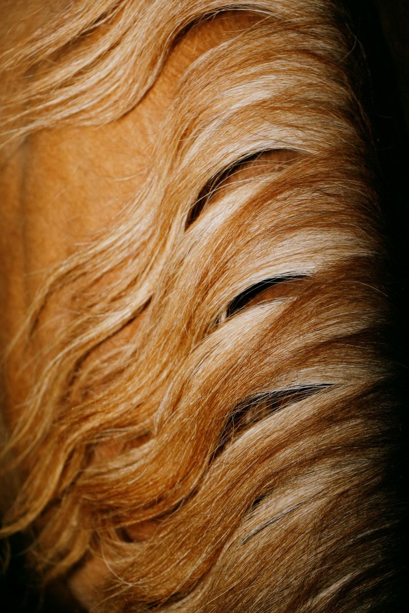 © Domenico Matera - Image from the a new friend photography project