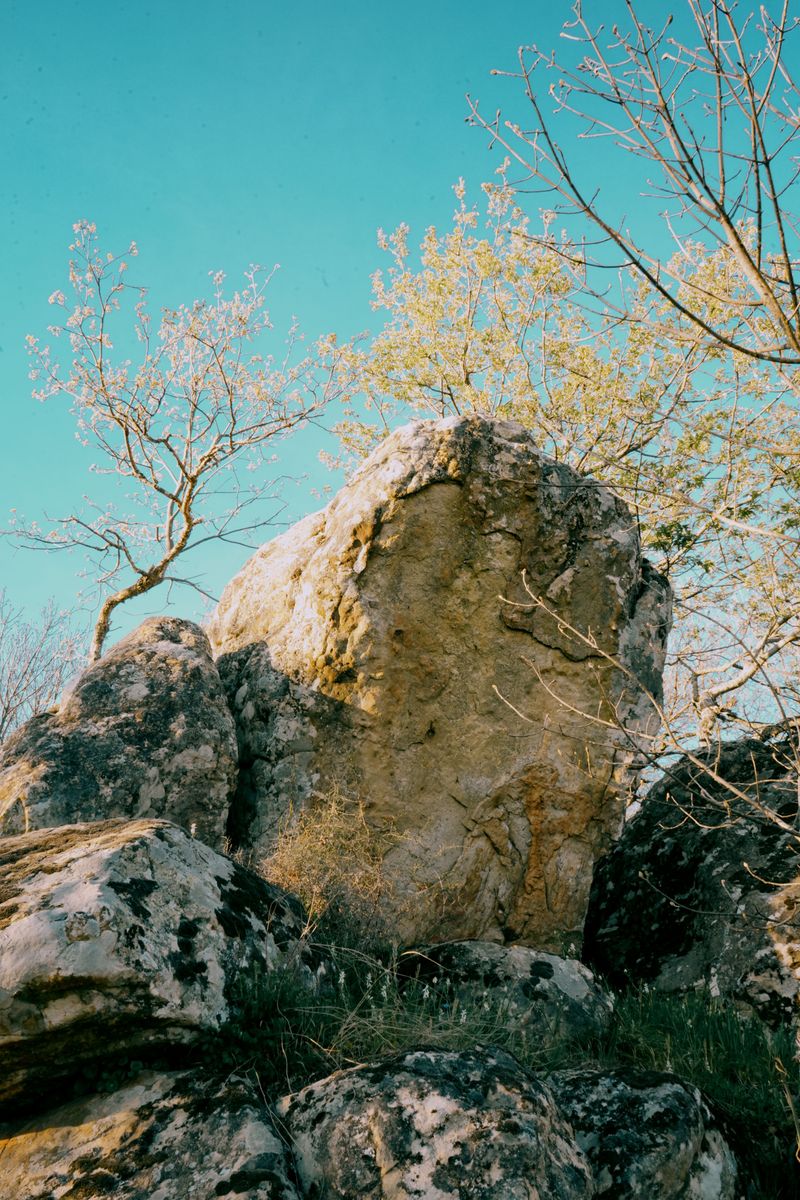 © Domenico Matera - Image from the dreaming photography project