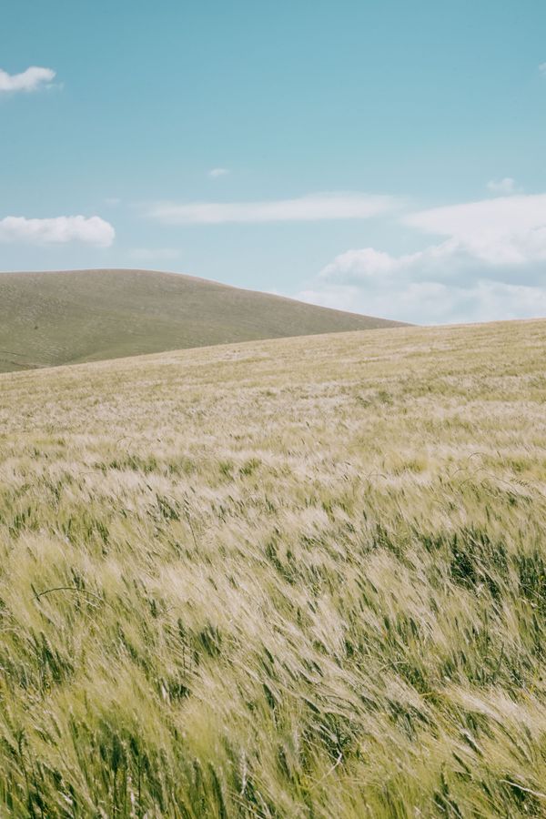 © Domenico Matera - Image from the dreaming photography project