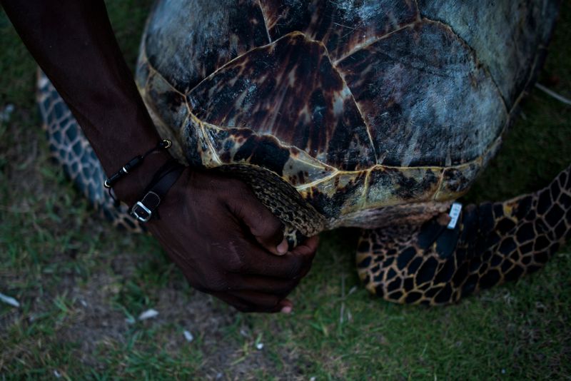 © Charlie Cordero - Image from the The magical realism of Santa Cruz del Islote photography project