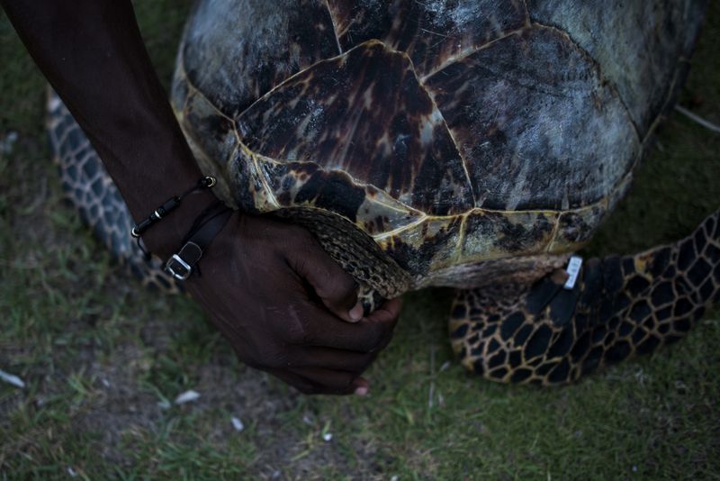 © Charlie Cordero - Image from the The magical realism of Santa Cruz del Islote photography project