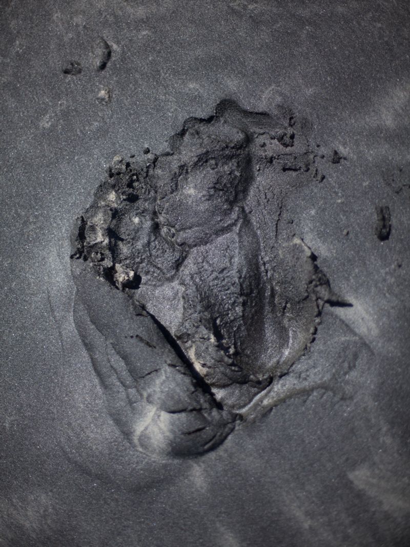 © Alice Caracciolo - Image from the Piet[r]à photography project