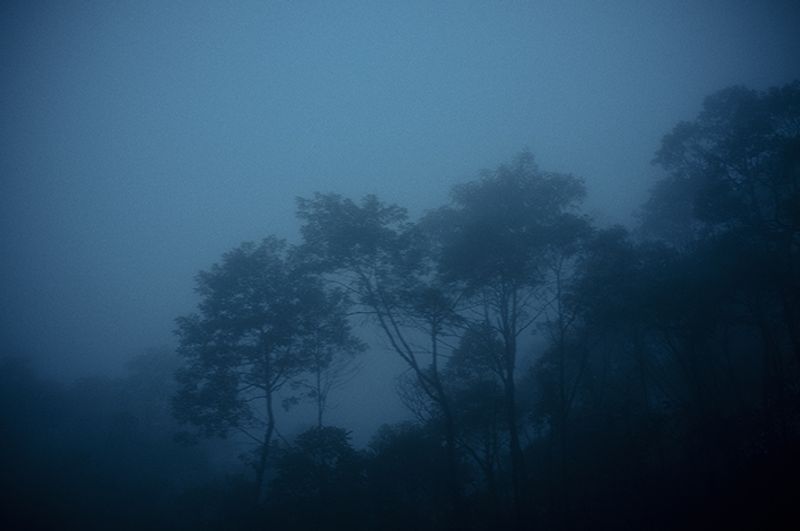 © Paula Brandão - Image from the Ephemeral photography project