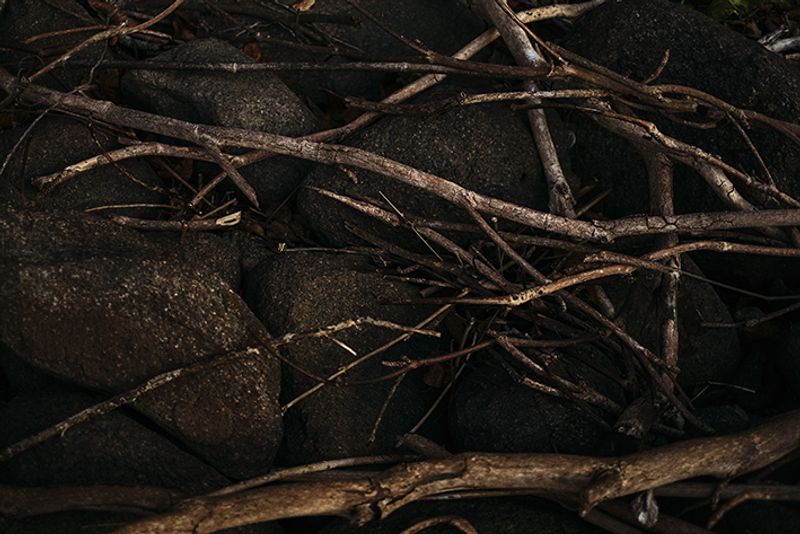 © Paula Brandão - Image from the Ephemeral photography project