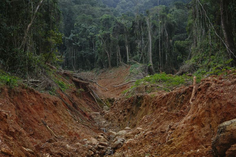 © Paula Brandão - Image from the Scars of the Climate photography project