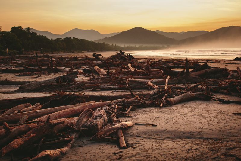© Paula Brandão - Image from the Scars of the Climate photography project