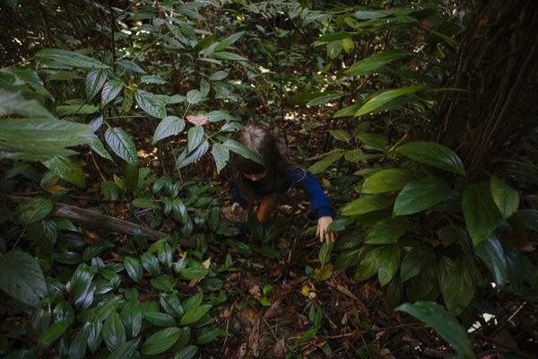 © Paula Brandão - Image from the Scars of the Climate photography project