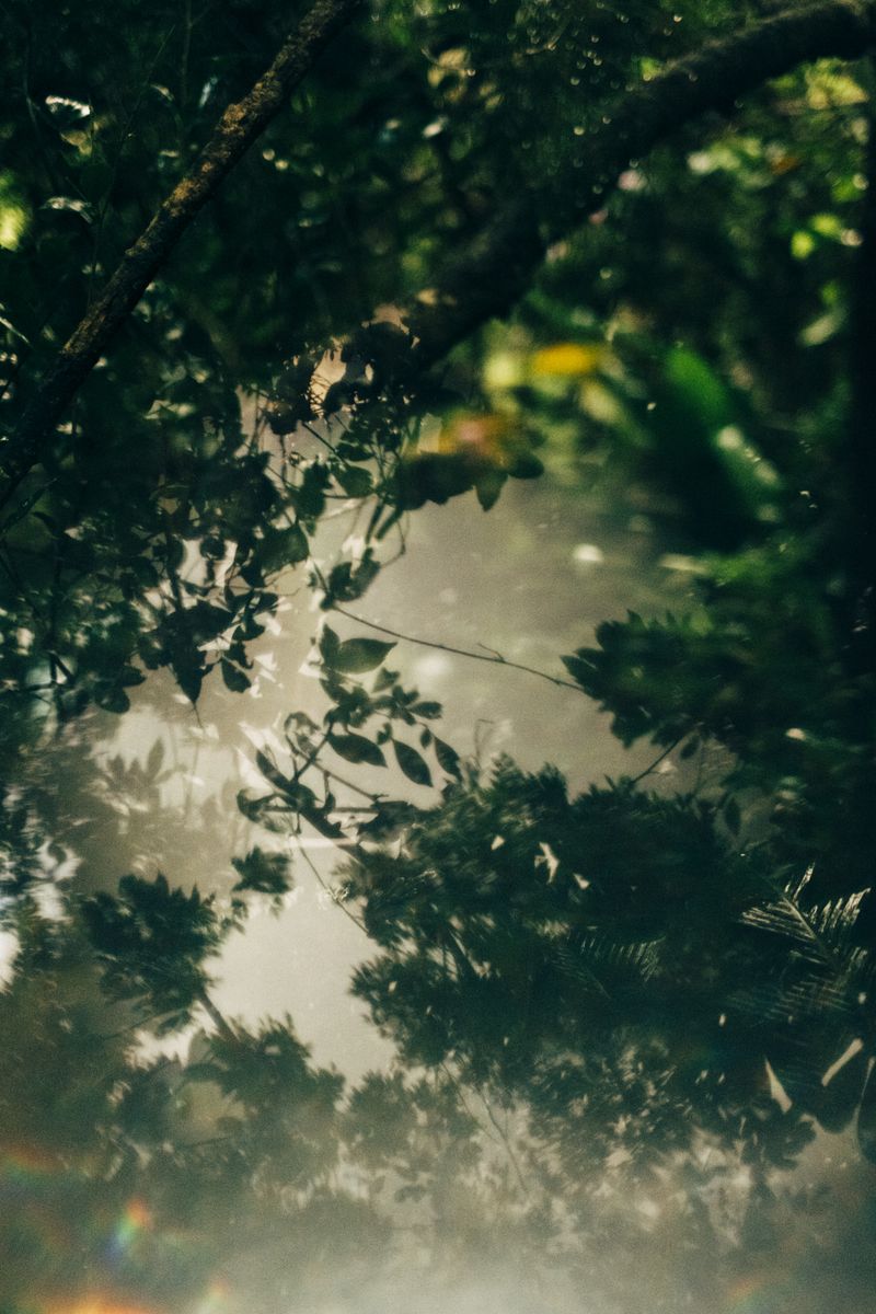 © Paula Brandão - Image from the Scars of the Climate photography project