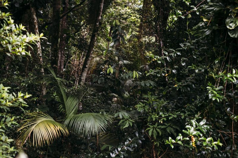 © Paula Brandão - Image from the Scars of the Climate photography project