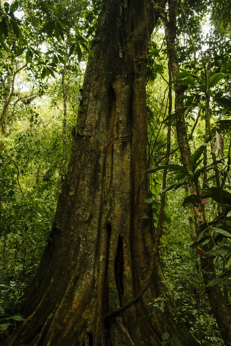 © Paula Brandão - Image from the Scars of the Climate photography project