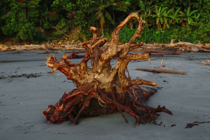 © Paula Brandão - Image from the Scars of the Climate photography project