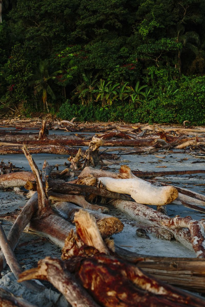© Paula Brandão - Image from the Scars of the Climate photography project