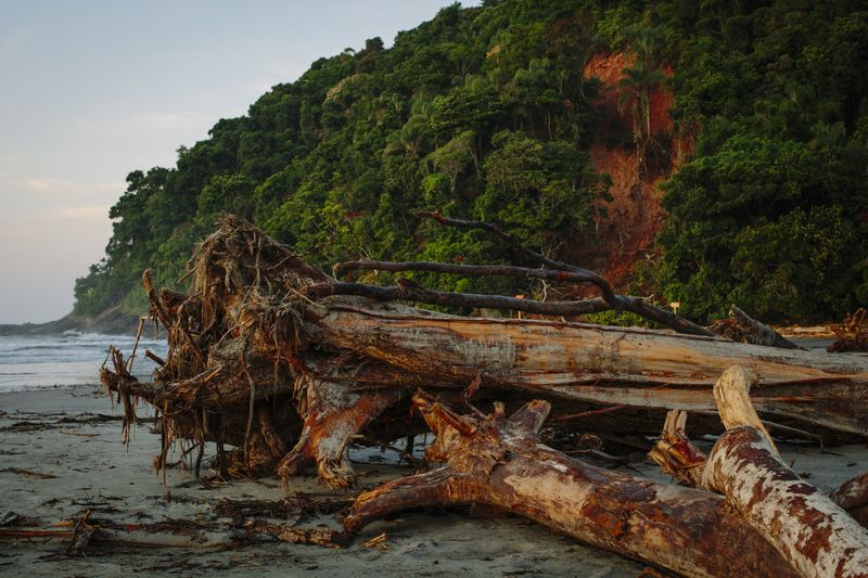 © Paula Brandão - Image from the Scars of the Climate photography project