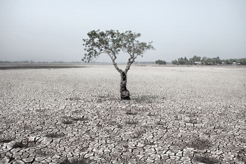 © Fabeha Monir - Image from the The Land of Despair photography project