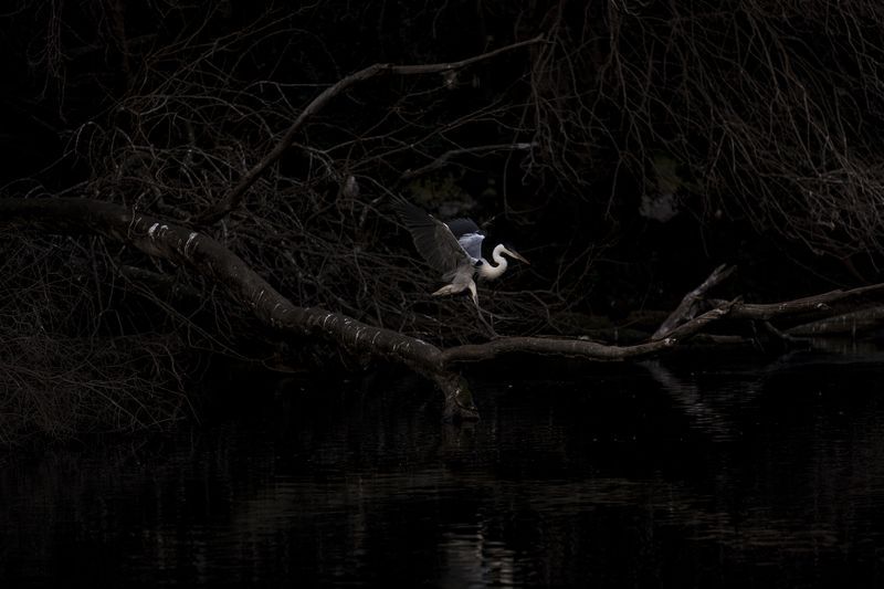 © Sarah Pabst - Image from the Morning Song photography project