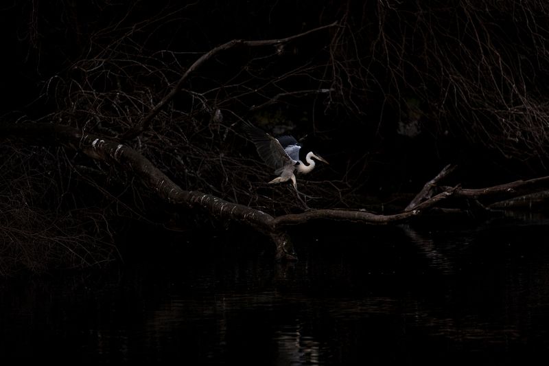 © Sarah Pabst - Image from the Morning Song photography project