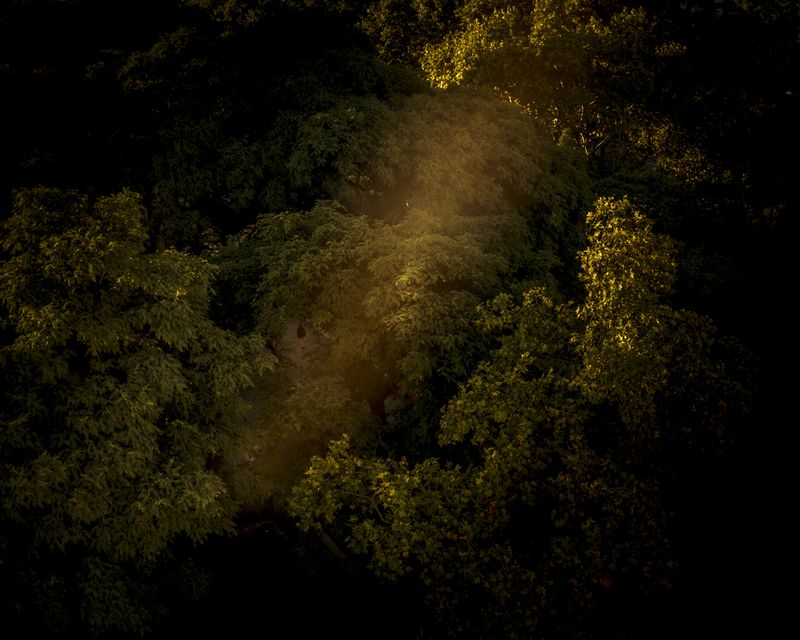 © Sarah Pabst - Image from the Morning Song photography project