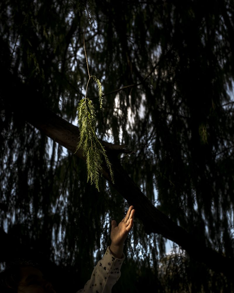 © Sarah Pabst - Image from the Morning Song photography project