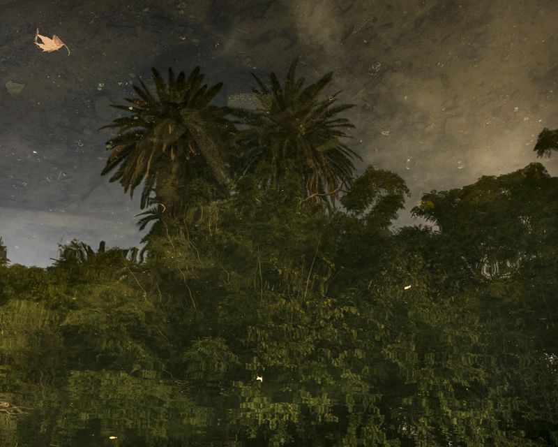 © Sarah Pabst - Image from the Morning Song photography project