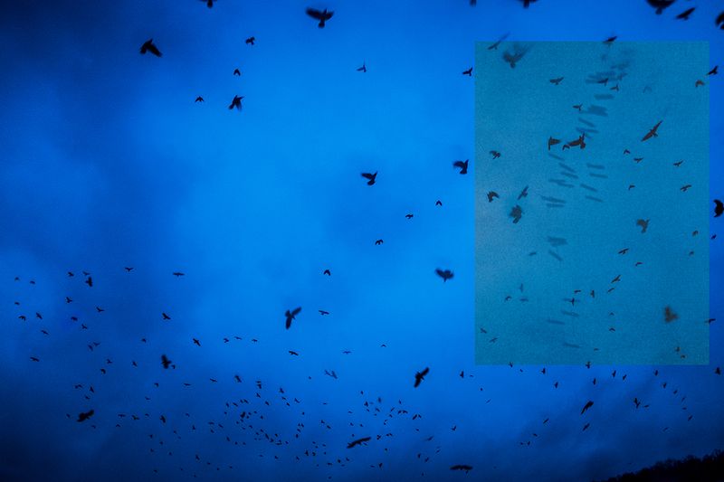 © Sarah Pabst - Image from the Zukunft photography project