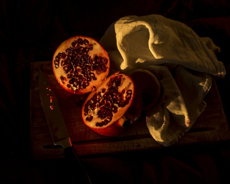 © Sarah Pabst - Image from the Everyone in me is a bird photography project