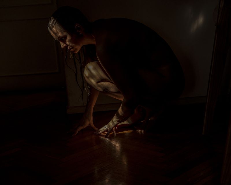 © Sarah Pabst - Image from the Everyone in me is a bird photography project