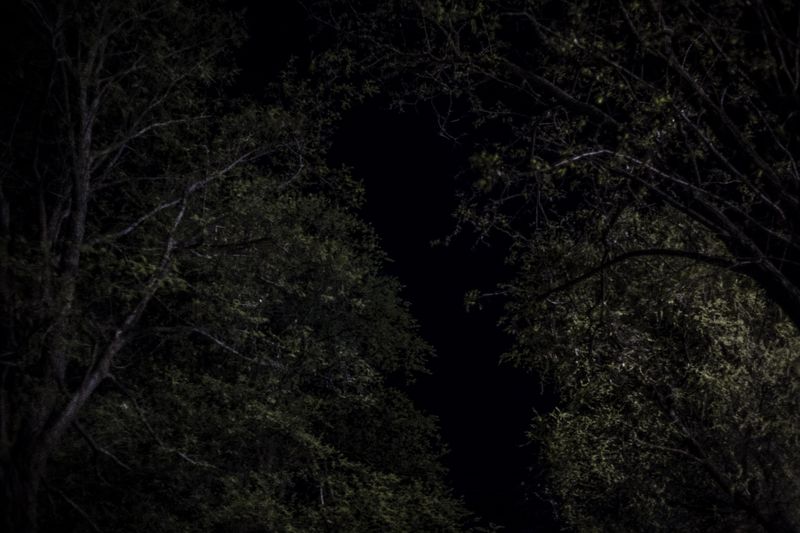 © Sarah Pabst - Image from the Reclusive photography project