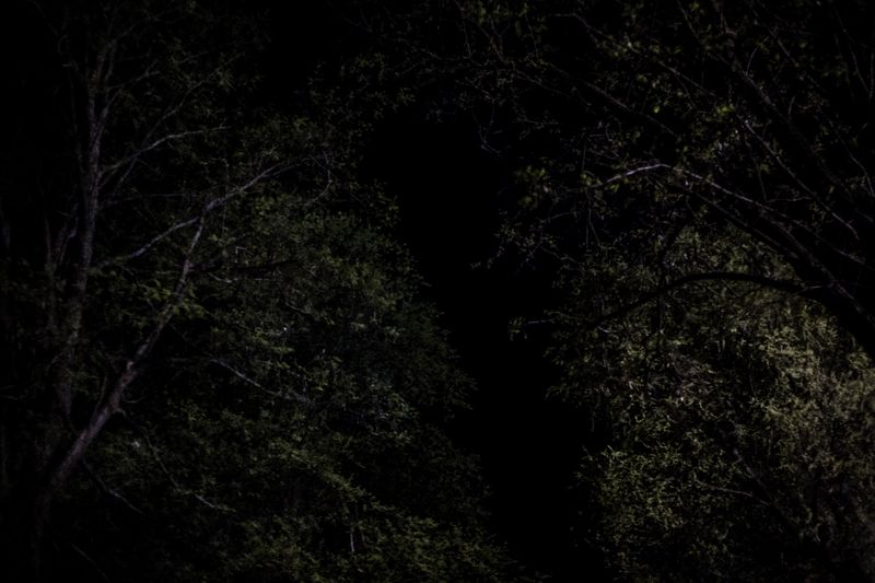 © Sarah Pabst - Image from the Reclusive photography project