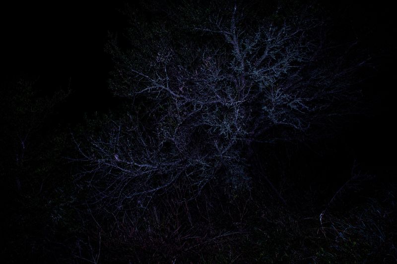 © Sarah Pabst - Image from the Reclusive photography project