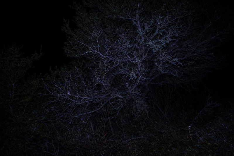 © Sarah Pabst - Image from the Reclusive photography project