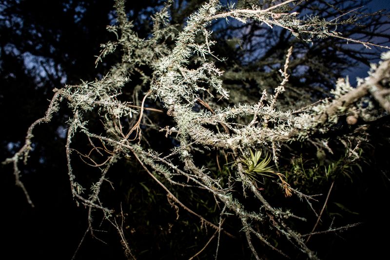 © Sarah Pabst - Image from the Reclusive photography project